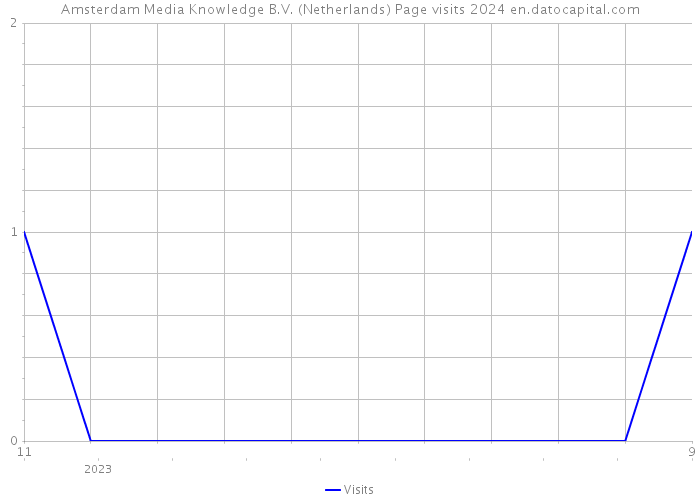 Amsterdam Media Knowledge B.V. (Netherlands) Page visits 2024 