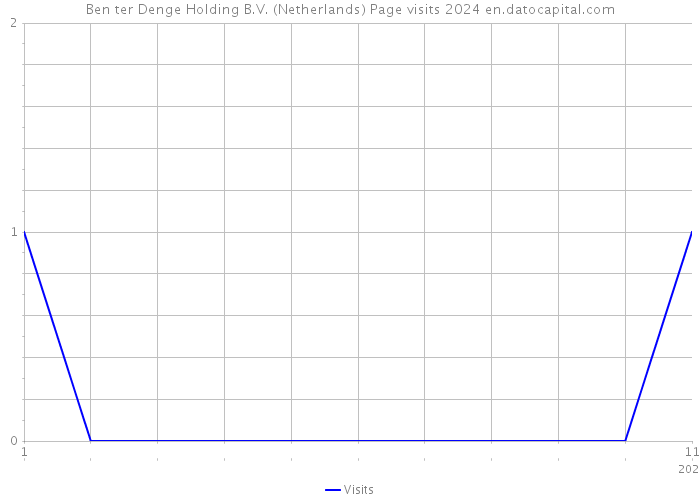 Ben ter Denge Holding B.V. (Netherlands) Page visits 2024 