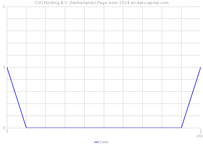 CVG Holding B.V. (Netherlands) Page visits 2024 