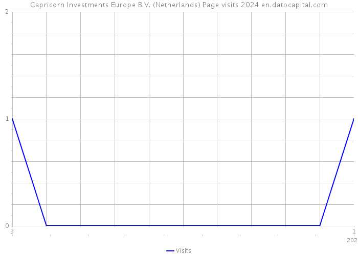 Capricorn Investments Europe B.V. (Netherlands) Page visits 2024 