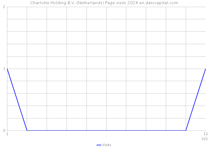 Charlotte Holding B.V. (Netherlands) Page visits 2024 
