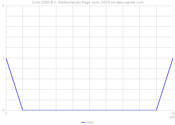 Com 2000 B.V. (Netherlands) Page visits 2024 