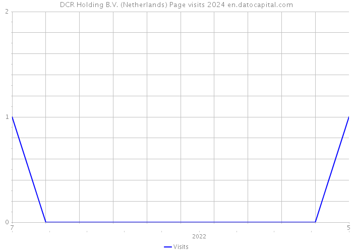 DCR Holding B.V. (Netherlands) Page visits 2024 