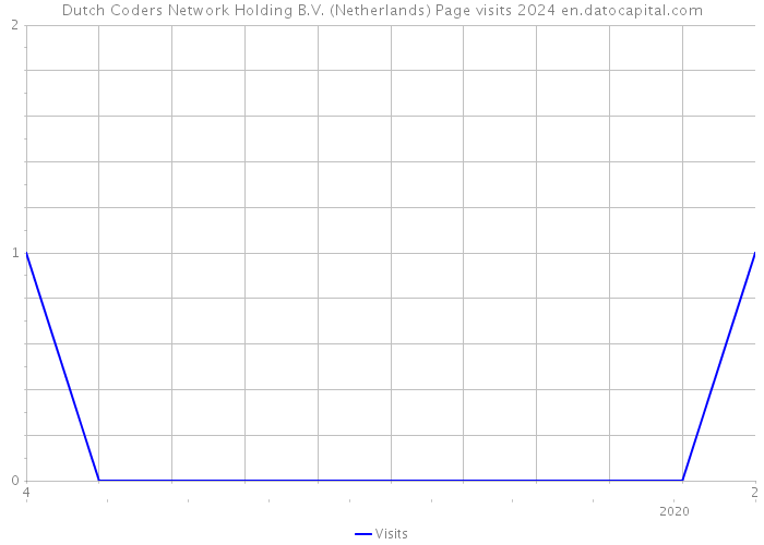 Dutch Coders Network Holding B.V. (Netherlands) Page visits 2024 