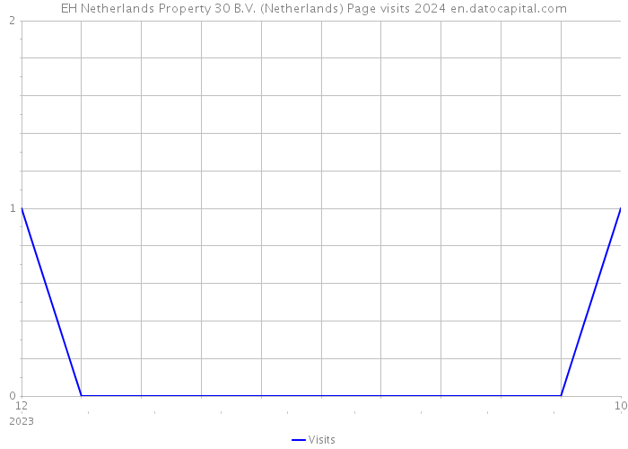 EH Netherlands Property 30 B.V. (Netherlands) Page visits 2024 