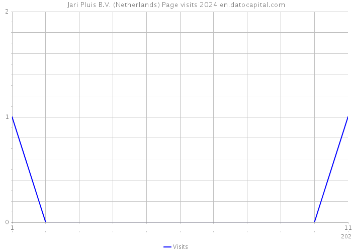 Jari Pluis B.V. (Netherlands) Page visits 2024 