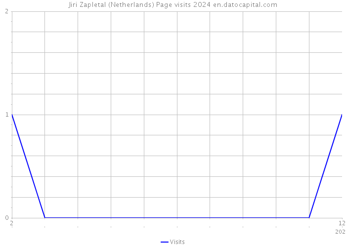 Jiri Zapletal (Netherlands) Page visits 2024 