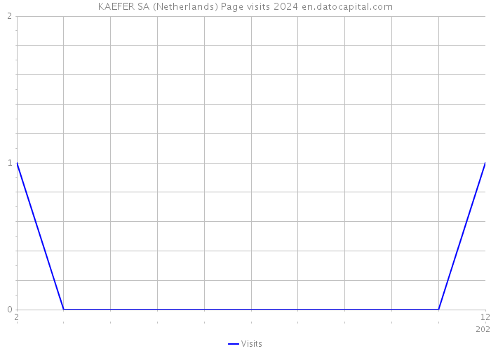 KAEFER SA (Netherlands) Page visits 2024 