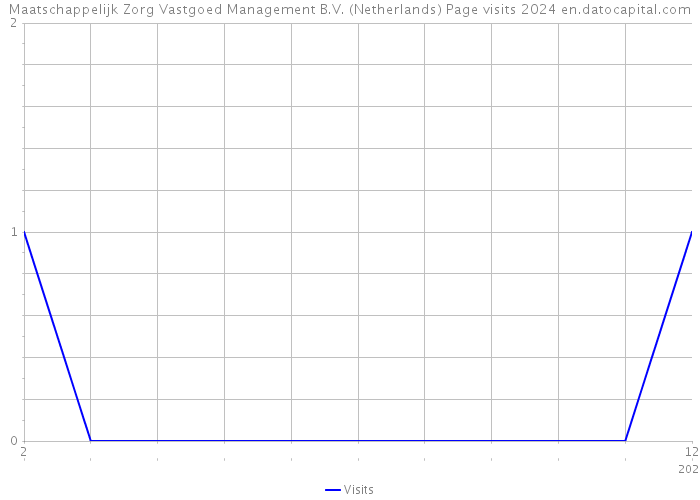 Maatschappelijk Zorg Vastgoed Management B.V. (Netherlands) Page visits 2024 