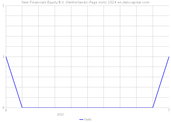 New Financials Equity B.V. (Netherlands) Page visits 2024 
