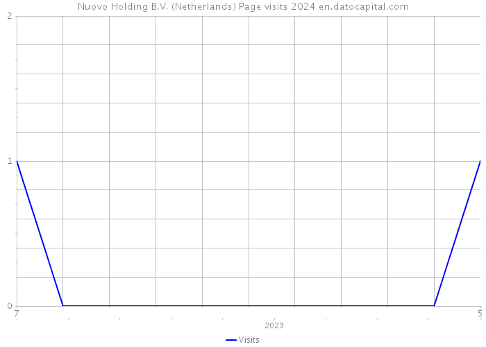 Nuovo Holding B.V. (Netherlands) Page visits 2024 