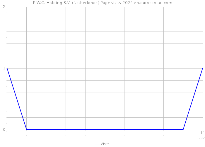P.W.C. Holding B.V. (Netherlands) Page visits 2024 