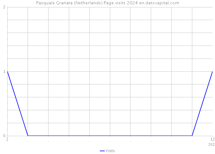 Pasquale Granata (Netherlands) Page visits 2024 