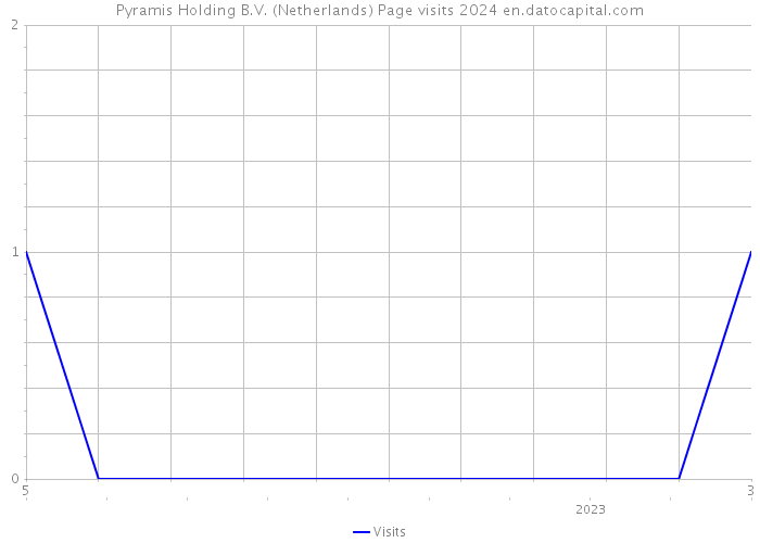 Pyramis Holding B.V. (Netherlands) Page visits 2024 