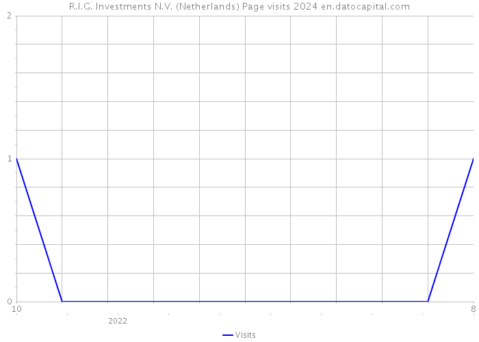 R.I.G. Investments N.V. (Netherlands) Page visits 2024 