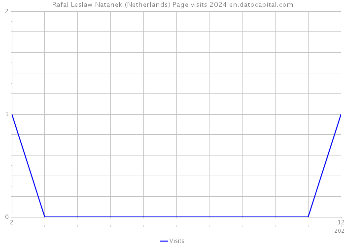 Rafal Leslaw Natanek (Netherlands) Page visits 2024 