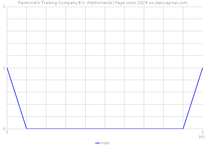Raimondi's Trading Company B.V. (Netherlands) Page visits 2024 