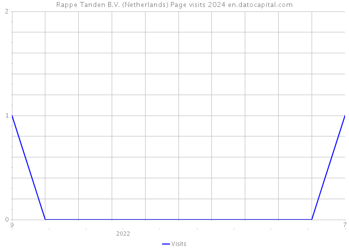 Rappe Tanden B.V. (Netherlands) Page visits 2024 