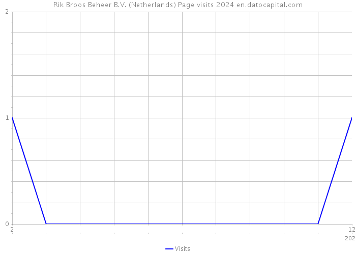 Rik Broos Beheer B.V. (Netherlands) Page visits 2024 
