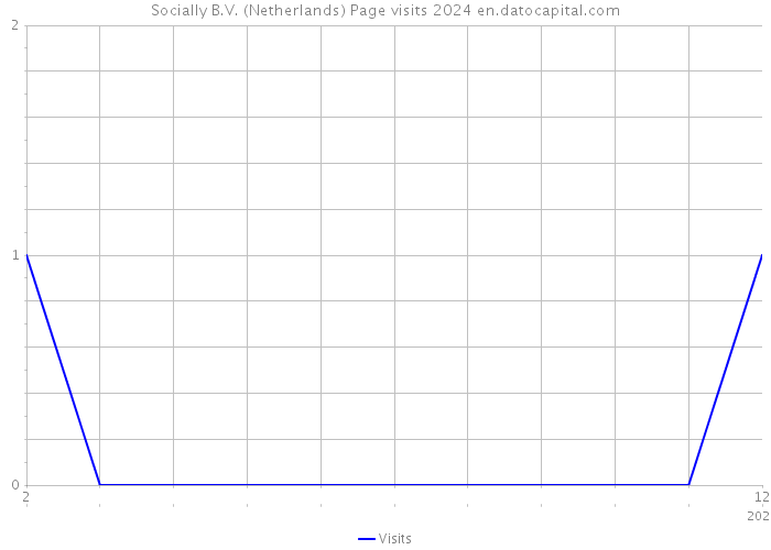 Socially B.V. (Netherlands) Page visits 2024 