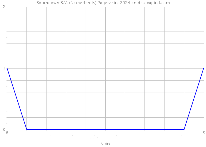 Southdown B.V. (Netherlands) Page visits 2024 
