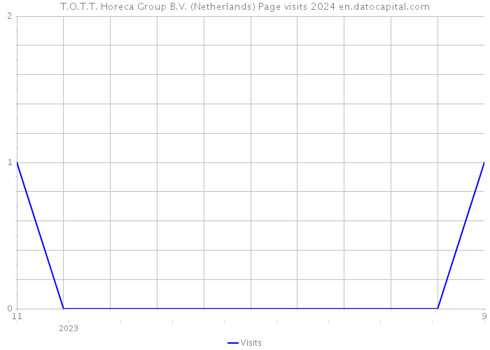 T.O.T.T. Horeca Group B.V. (Netherlands) Page visits 2024 
