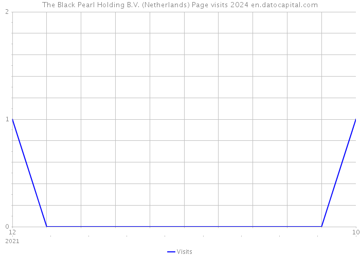 The Black Pearl Holding B.V. (Netherlands) Page visits 2024 