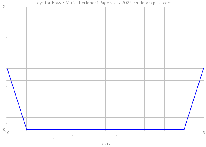 Toys for Boys B.V. (Netherlands) Page visits 2024 