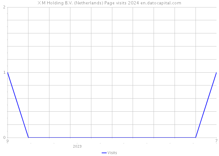 X M Holding B.V. (Netherlands) Page visits 2024 