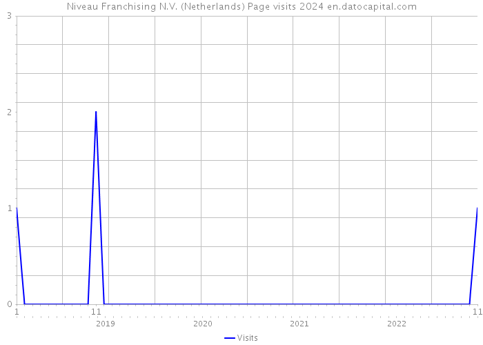 Niveau Franchising N.V. (Netherlands) Page visits 2024 