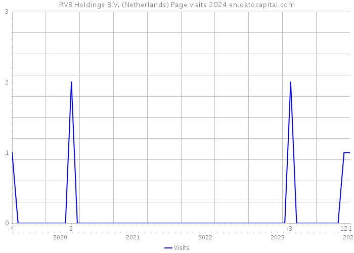 RVB Holdings B.V. (Netherlands) Page visits 2024 