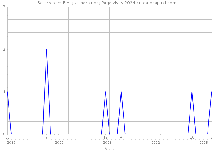 Boterbloem B.V. (Netherlands) Page visits 2024 