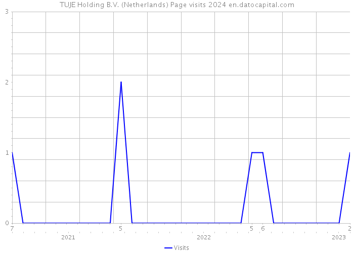 TUJE Holding B.V. (Netherlands) Page visits 2024 