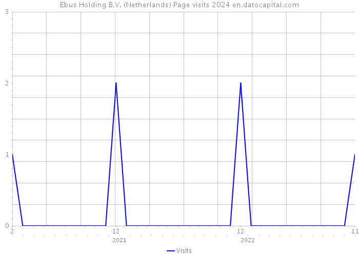 Ebus Holding B.V. (Netherlands) Page visits 2024 