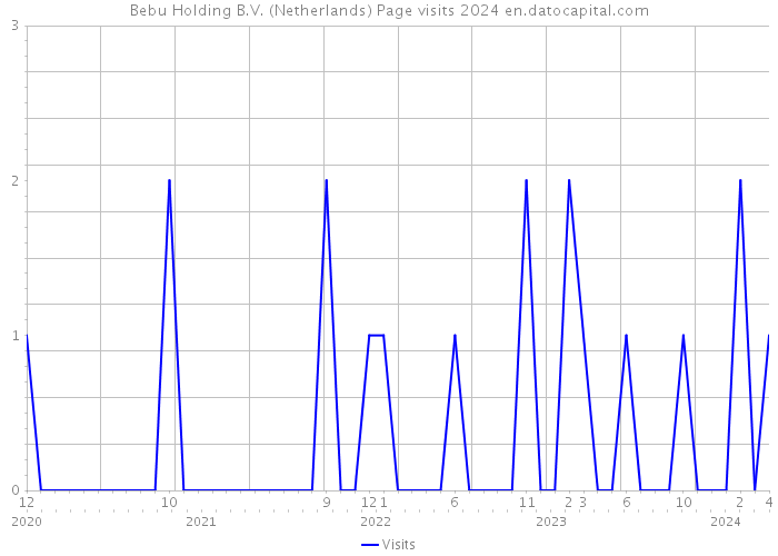 Bebu Holding B.V. (Netherlands) Page visits 2024 