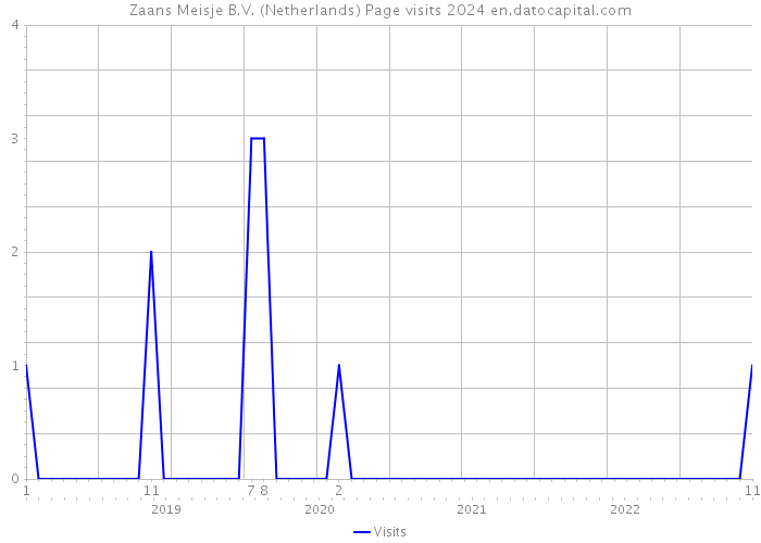 Zaans Meisje B.V. (Netherlands) Page visits 2024 