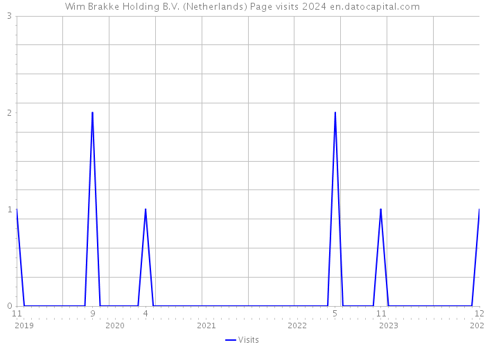 Wim Brakke Holding B.V. (Netherlands) Page visits 2024 