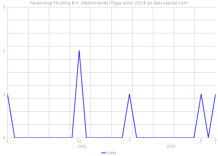 Nederstigt Holding B.V. (Netherlands) Page visits 2024 