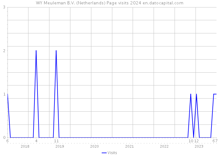 WY Meuleman B.V. (Netherlands) Page visits 2024 