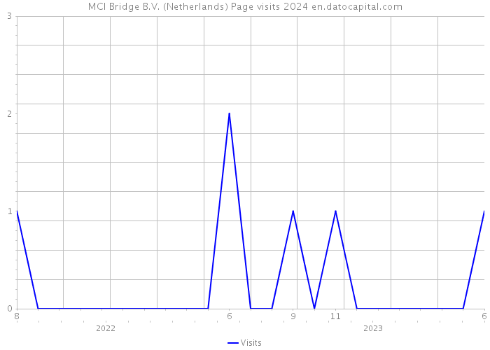MCI Bridge B.V. (Netherlands) Page visits 2024 