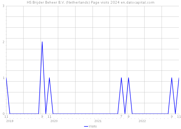 HS Brijder Beheer B.V. (Netherlands) Page visits 2024 