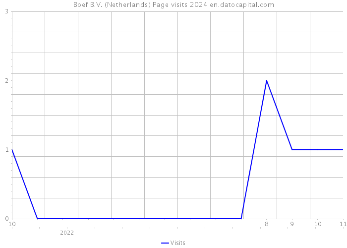 Boef B.V. (Netherlands) Page visits 2024 