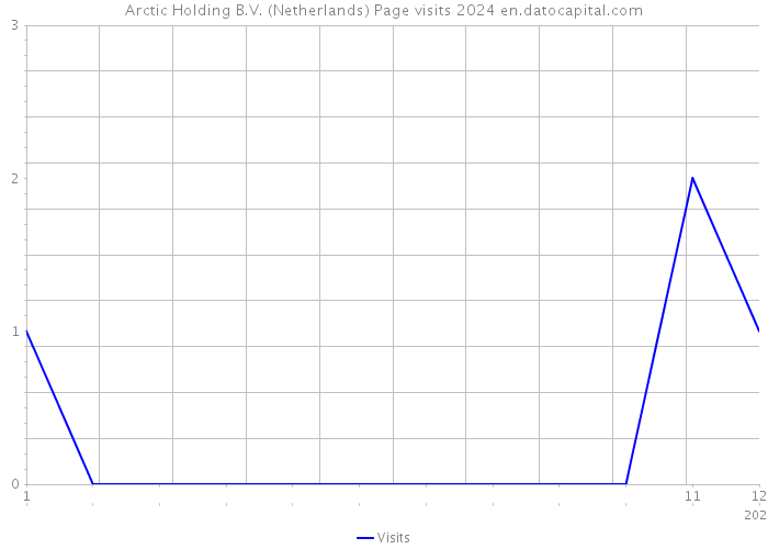 Arctic Holding B.V. (Netherlands) Page visits 2024 