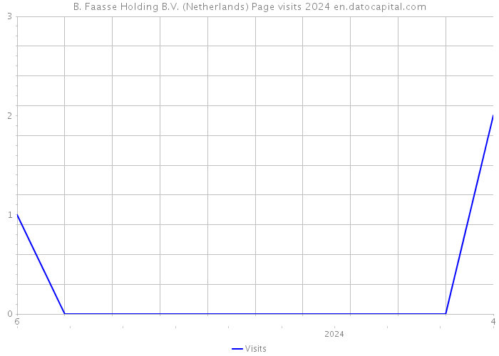 B. Faasse Holding B.V. (Netherlands) Page visits 2024 