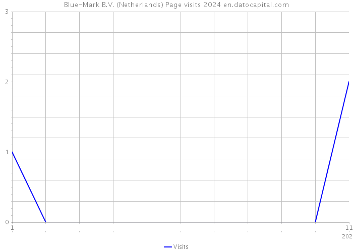 Blue-Mark B.V. (Netherlands) Page visits 2024 