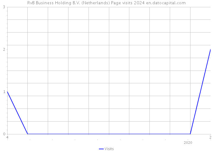 RvB Business Holding B.V. (Netherlands) Page visits 2024 