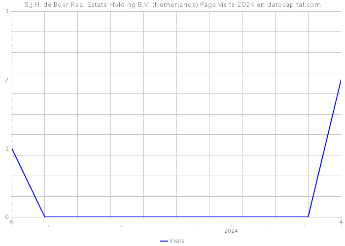 S.J.H. de Boer Real Estate Holding B.V. (Netherlands) Page visits 2024 
