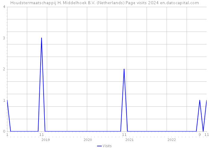 Houdstermaatschappij H. Middelhoek B.V. (Netherlands) Page visits 2024 