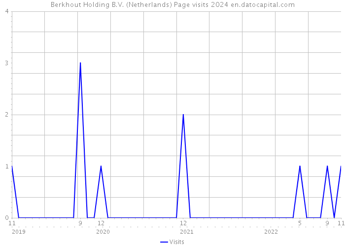 Berkhout Holding B.V. (Netherlands) Page visits 2024 
