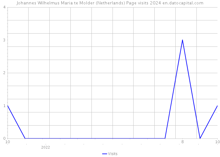 Johannes Wilhelmus Maria te Molder (Netherlands) Page visits 2024 